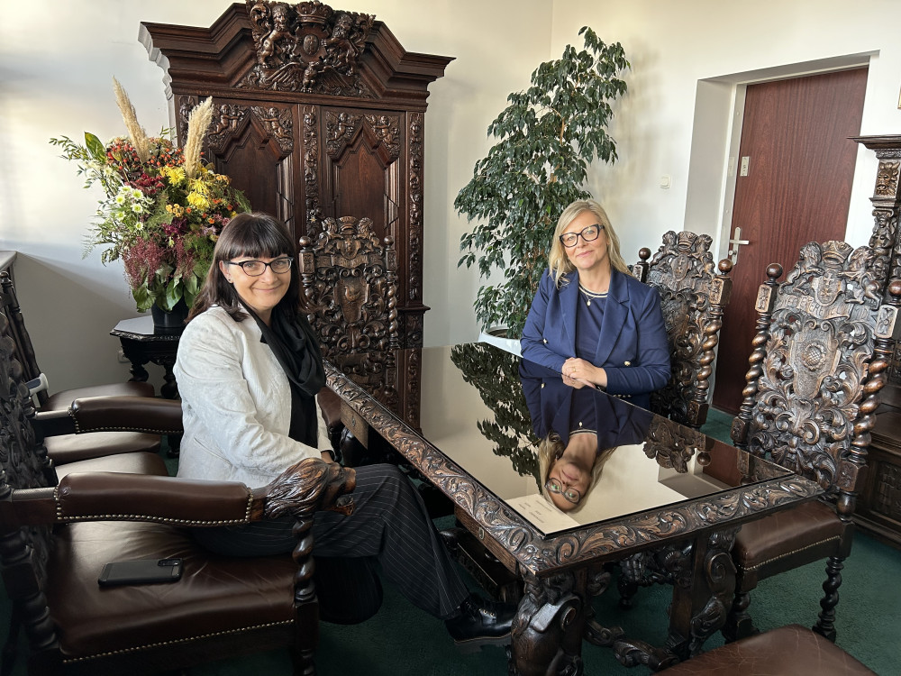 Wykład „Od misji gospodarczej do dyplomacji ekonomicznej” z udziałem Konsul Generalnej RP w Mediolanie