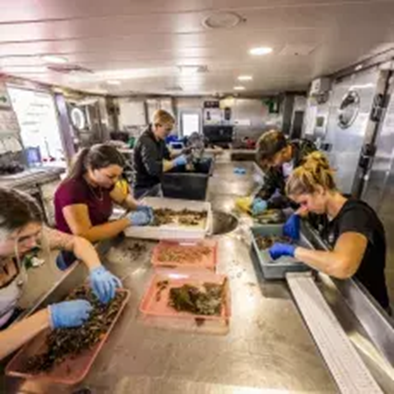 Relacja z Letniego Kursu Ichtiologia Morza