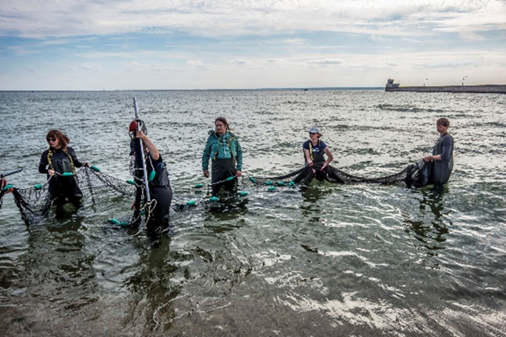 Relacja z Letniego Kursu Ichtiologia Morza