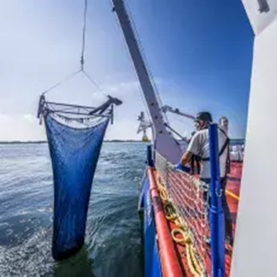 Relacja z Letniego Kursu Ichtiologia Morza