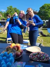 Fahrenheit Science Picnic at the Hevelianum Centre