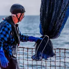 Relacja fotograficzna z Letniego Kursu Ichtiologia Morza