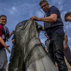 Relacja fotograficzna z Letniego Kursu Ichtiologia Morza