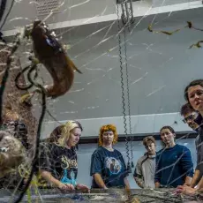 Relacja fotograficzna z Letniego Kursu Ichtiologia Morza