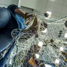 Relacja fotograficzna z Letniego Kursu Ichtiologia Morza