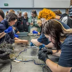 Relacja fotograficzna z Letniego Kursu Ichtiologia Morza