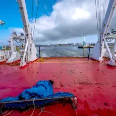 Relacja fotograficzna z Letniego Kursu Ichtiologia Morza