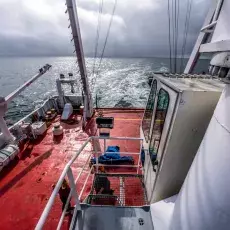 Relacja fotograficzna z Letniego Kursu Ichtiologia Morza