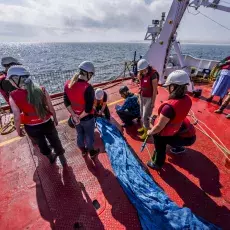 Relacja fotograficzna z Letniego Kursu Ichtiologia Morza