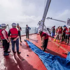 Relacja fotograficzna z Letniego Kursu Ichtiologia Morza