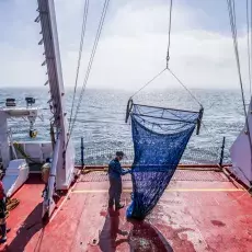 Relacja fotograficzna z Letniego Kursu Ichtiologia Morza