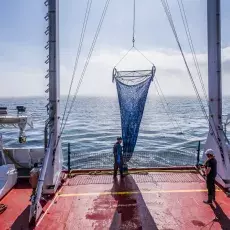 Relacja fotograficzna z Letniego Kursu Ichtiologia Morza