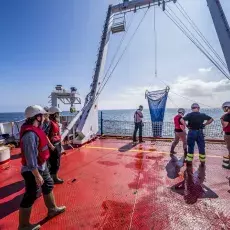 Relacja fotograficzna z Letniego Kursu Ichtiologia Morza