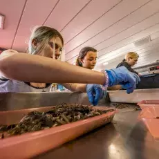 Relacja fotograficzna z Letniego Kursu Ichtiologia Morza