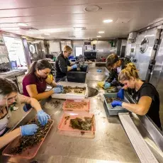 Relacja fotograficzna z Letniego Kursu Ichtiologia Morza