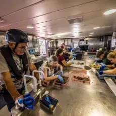 Relacja fotograficzna z Letniego Kursu Ichtiologia Morza