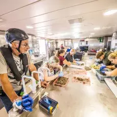 Relacja fotograficzna z Letniego Kursu Ichtiologia Morza