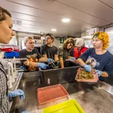 Relacja fotograficzna z Letniego Kursu Ichtiologia Morza