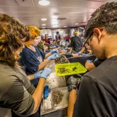 Relacja fotograficzna z Letniego Kursu Ichtiologia Morza