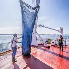 Relacja fotograficzna z Letniego Kursu Ichtiologia Morza