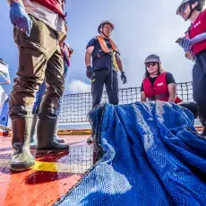 Relacja fotograficzna z Letniego Kursu Ichtiologia Morza