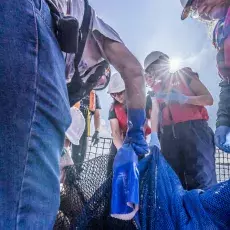 Relacja fotograficzna z Letniego Kursu Ichtiologia Morza