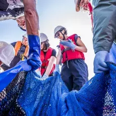 Relacja fotograficzna z Letniego Kursu Ichtiologia Morza