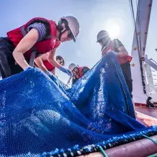 Relacja fotograficzna z Letniego Kursu Ichtiologia Morza