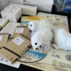 Relacja fotograficzna z projektu Akademia na Plaży